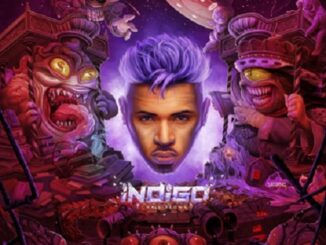 Chris Brown releases another new track off his upcoming Indigo album, Ft Justin Bieber and Ink titled "Don't Check On Me".
