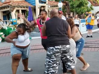 They Wild'n: Brawl Breaks out between a family at Disneyland.