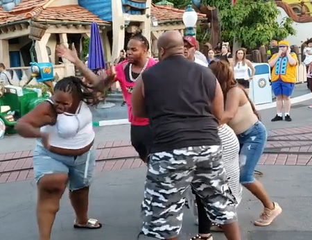 They Wild'n: Brawl Breaks out between a family at Disneyland.