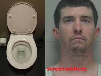 Wisconsin Man Gets 150 Days In Jail For Clogging 30 Toilets