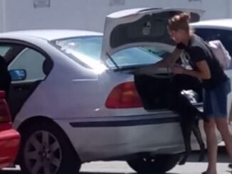 Florida woman arrested for shoving her dog in trunk.