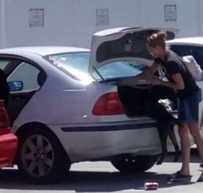 Florida woman arrested for shoving her dog in trunk.