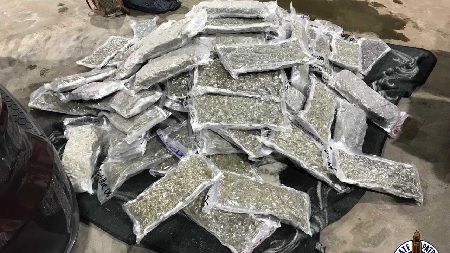 7 people arrested in NJ involving 81 lbs marijuana and THC products.