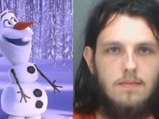 Man arrested for having sex with stuffed 'Olaf' at Target.
