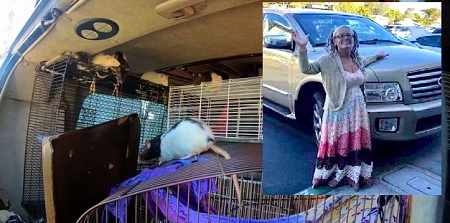 Woman Found Living With Over 300 Rats In Her Van!