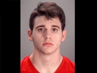 Student arrested after looking for murderer-for-hire on Instagram.