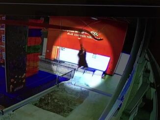 Video released Of child falling from zip line at adventure park, family sues.
