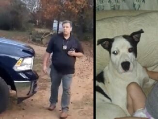 Cop goes to the wrong house and shoots child’s dog, family devastated.