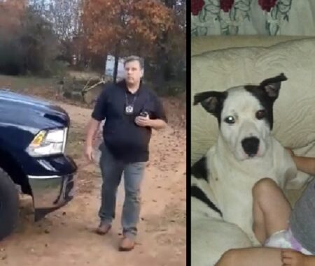 Cop goes to the wrong house and shoots child’s dog, family devastated.