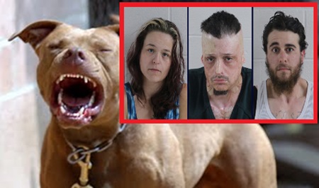 Pit Bull Sicced On Handcuffed 6-year-old Boy By Mother And Two Others.