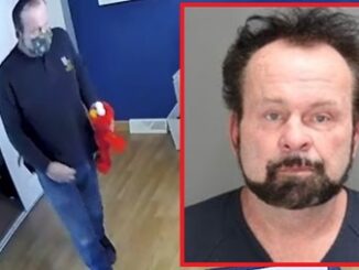 Man Caught Pleasuring Self With Elmo Doll Violates Probation.