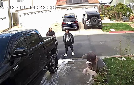 Footage Captures Woman Kicking Small Dog After Heated Argument