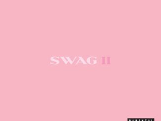 Justin Bieber Drops Surprise Album Swag II
