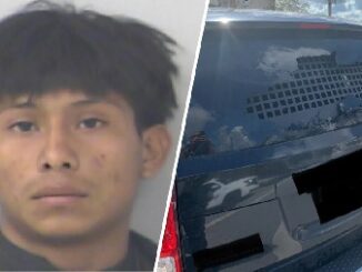 Florida Man Throws Rock Through ICE Agent’s Car Window
