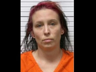 6-month-old baby was killed by a pit bull last year