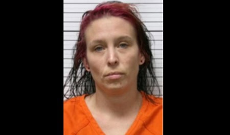 6-month-old baby was killed by a pit bull last year