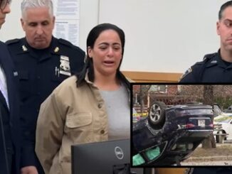 Brooklyn who plowed her car into a family and took the lives of a mother and her two young children was sentenced Wednesday to only three to nine years in jail.