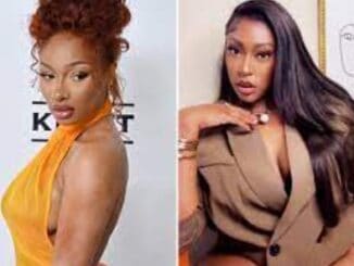 Megan Thee Stallion Wins Civil Suit Against Texas Blogger