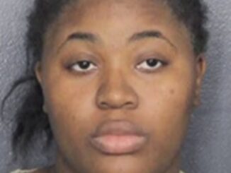 Woman accused of stealing from seniors by posing as caregiver