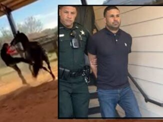 Florida Horse Trainer Arrested After Video Shows He Beat Client’s Horse
