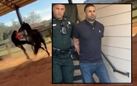 Florida Horse Trainer Arrested After Video Shows He Beat Client’s Horse