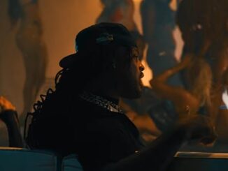 Waka Flocka Flame "Sh*t I Like" (Official Music Video).