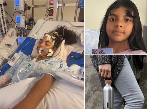 12-Year-Old Dies After Being Struck by Metal Water Bottle 