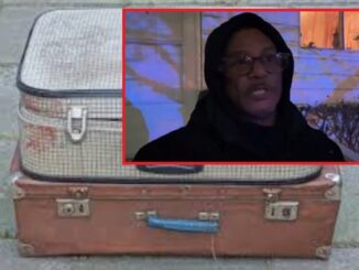 Bodies of Two Girls Found in Suitcases in Cleveland After Dog Walker Alerts Police