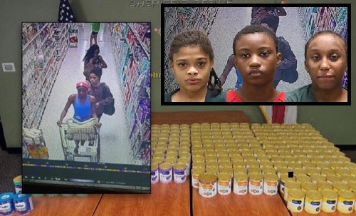Florida “Baby Formula Bandits” Arrested with $8,000 in Stolen Goods