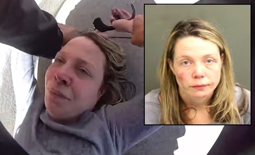 Orlando Police Release Video of Road Rage Attack Involving Pregnant Woman