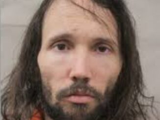 Roblox Programmer Arrested on Child Exploitation Charges Following Probation Check