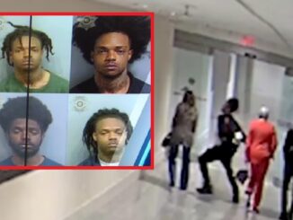 Serial Sucker-Puncher Released on Bond Again After Multiple Random Attacks