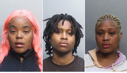 Three Women Removed From Frontier Flight, Arrested After Dispute Over Bag Fee