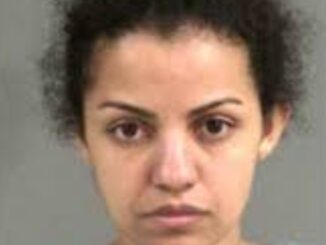 Woman Charged After Eight Children Found Alone During Fire in Illegal Daycare Case