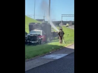 1 Million Bees Spill Onto Knoxville Interstate After Truck Crash.