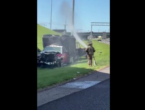 1 Million Bees Spill Onto Knoxville Interstate After Truck Crash.