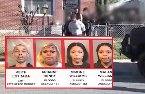Dozens Arrested in Major Long Island Gang Crackdown Targeting Violent Networks