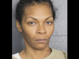 Florida Woman Accused of Stealing SNAP Benefits from Nearly 200 Victims