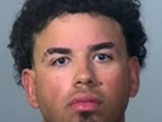 Minor League Baseball Player Arrested in Deadly Florida Hit-and-Run Crash