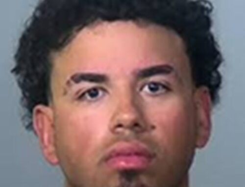 Minor League Baseball Player Arrested in Deadly Florida Hit-and-Run Crash