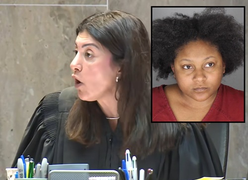 Pontiac Mother Sentenced to Up to 20 Years for Leaving Children in ‘Deplorable Conditions’