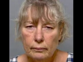 School Bus Driver Arrested After Train Strikes Bus Carrying Dozens of Children