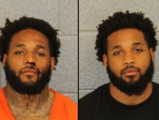 Two Men Charged After Loose Horse Struck by Car in Uptown Charlotte