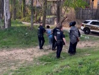 Video Shows Pittsburgh Officer Striking Handcuffed Woman, Investigation Underway
