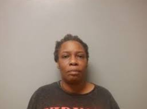 Woman Faces Felony Charge After Refusing to Return $19,000 Payroll Overpayment