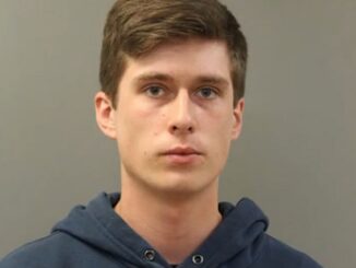 Chicago Man Sentenced To Approximately 4½ years For Killing Kittens