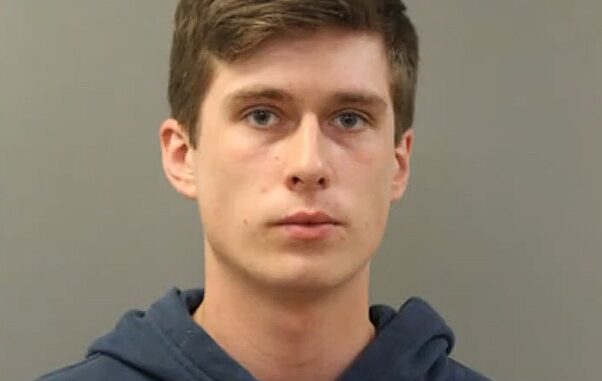 Chicago Man Sentenced To Approximately 4½ years For Killing Kittens