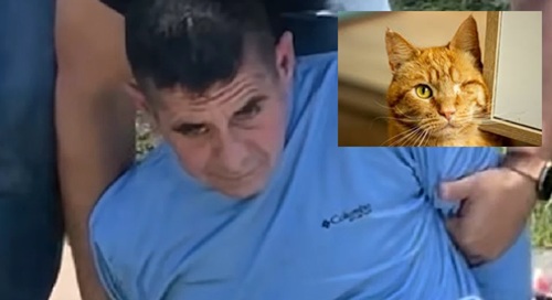 Florida Man Arrested After Allegedly Killing Cat With BB Gun