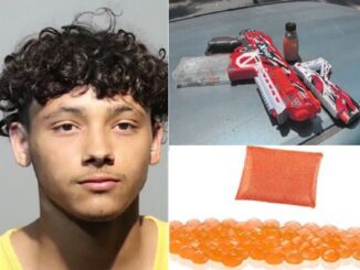 Two Teens Face Charges After Alleged Gel Blaster Attacks on Pedestrians in Seminole County.