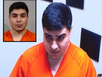 Man Pleads Guilty in Fatal Shooting of Estranged Wife During Fight Over Nintendo Switch.